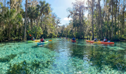 Más Allá de los Parques: 10 Atracciones Escondidas en Orlando